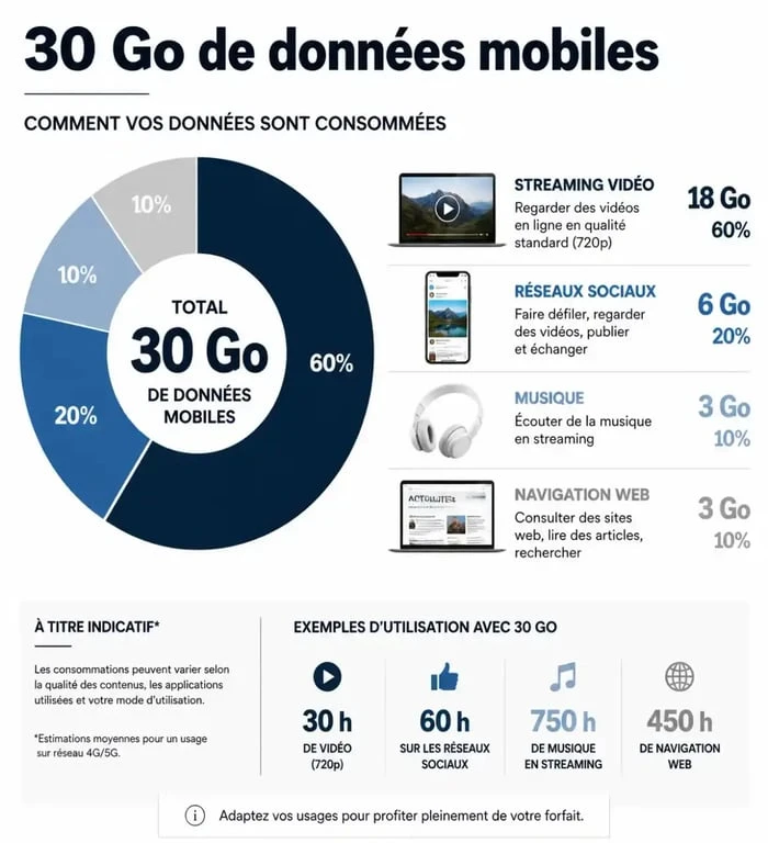 Infographie de la consommation de données mobiles pour un forfait de 30 Go internet